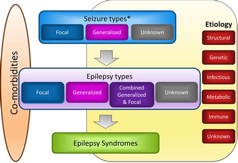 ilae epilepsy definition 2017.